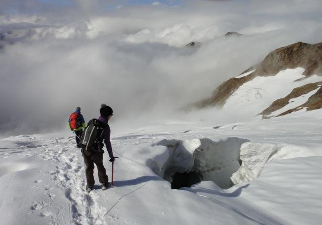 Dôme des Glaciers depuis le refuge Robert Blanc