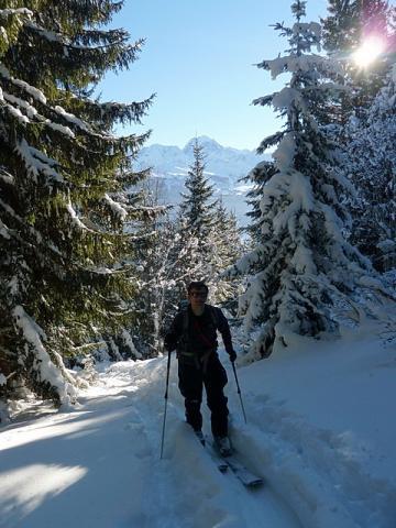 Montée dans la forêt sous le dôme de Vaugel.