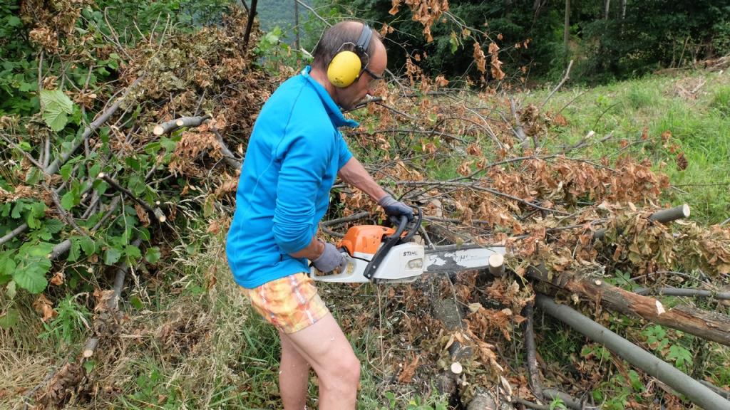 Quelques troncs à couper sur les chemins d'accés
