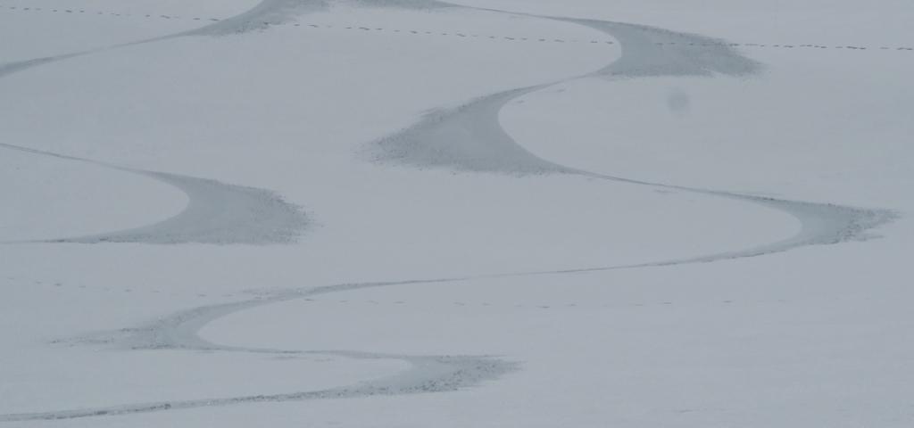 Signature sur du velour