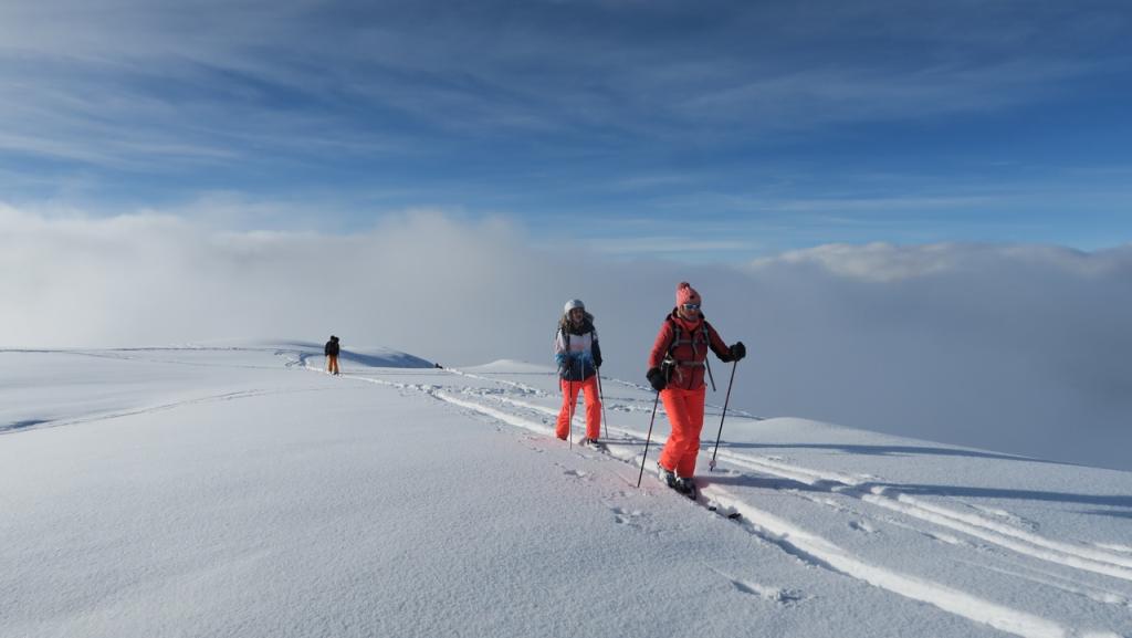 En montant au col du Granier