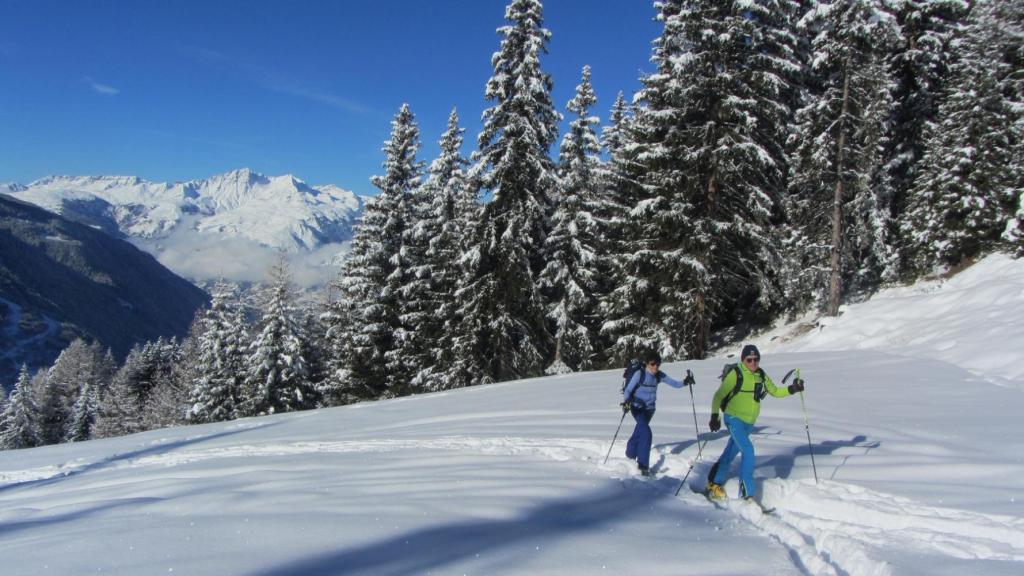 ski de randonnée en Vanoise - Guide de montagne